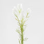 Blushing Bride 54cm Cream 6 pcs