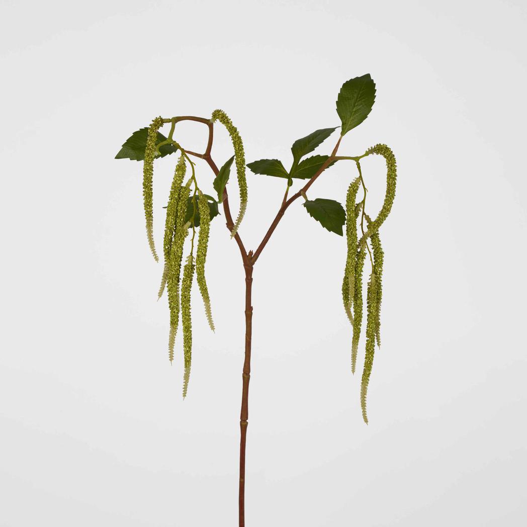 Amaranthus Hanging Plant 90cm Green 6 pcs