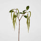 Amaranthus Hanging Plant 90cm Green 6 pcs