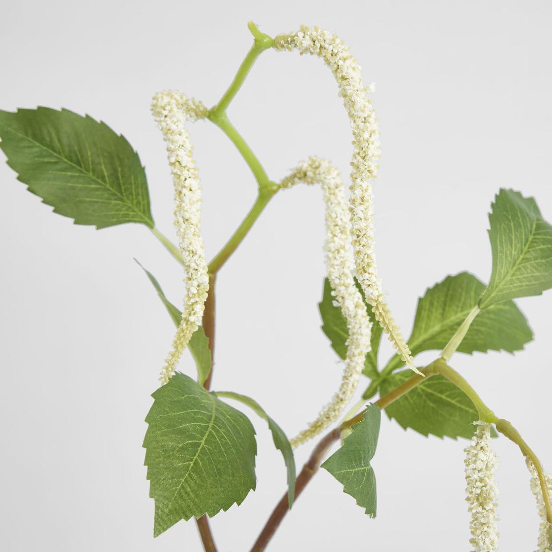 Amaranthus Hanging Plant 90cm White 6 pcs