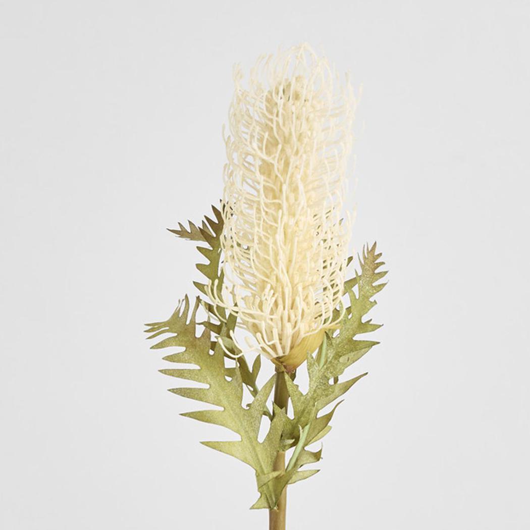 Dried Look Banksia Stem 75cm Cream 6 pcs