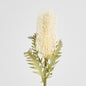 Dried Look Banksia Stem 75cm Cream 6 pcs