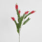 Bottlebrush Spray 100cm