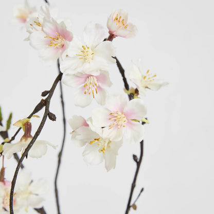 Cherry Blossom Hanging Spray 1.3m Pink