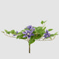 Trailing Clematis Bush Purple UV Coated