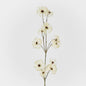 Wild Cotton Spray 6 pcs