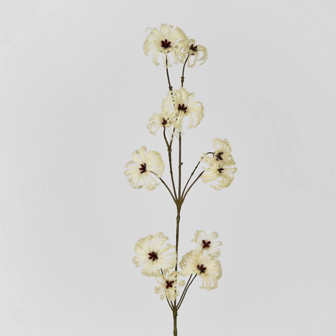Wild Cotton Spray 6 pcs