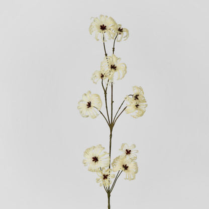 Wild Cotton Spray 6 pcs