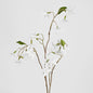 Wild Clematis Spray 6 pcs