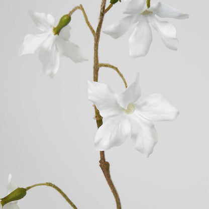 Wild Clematis Spray 6 pcs