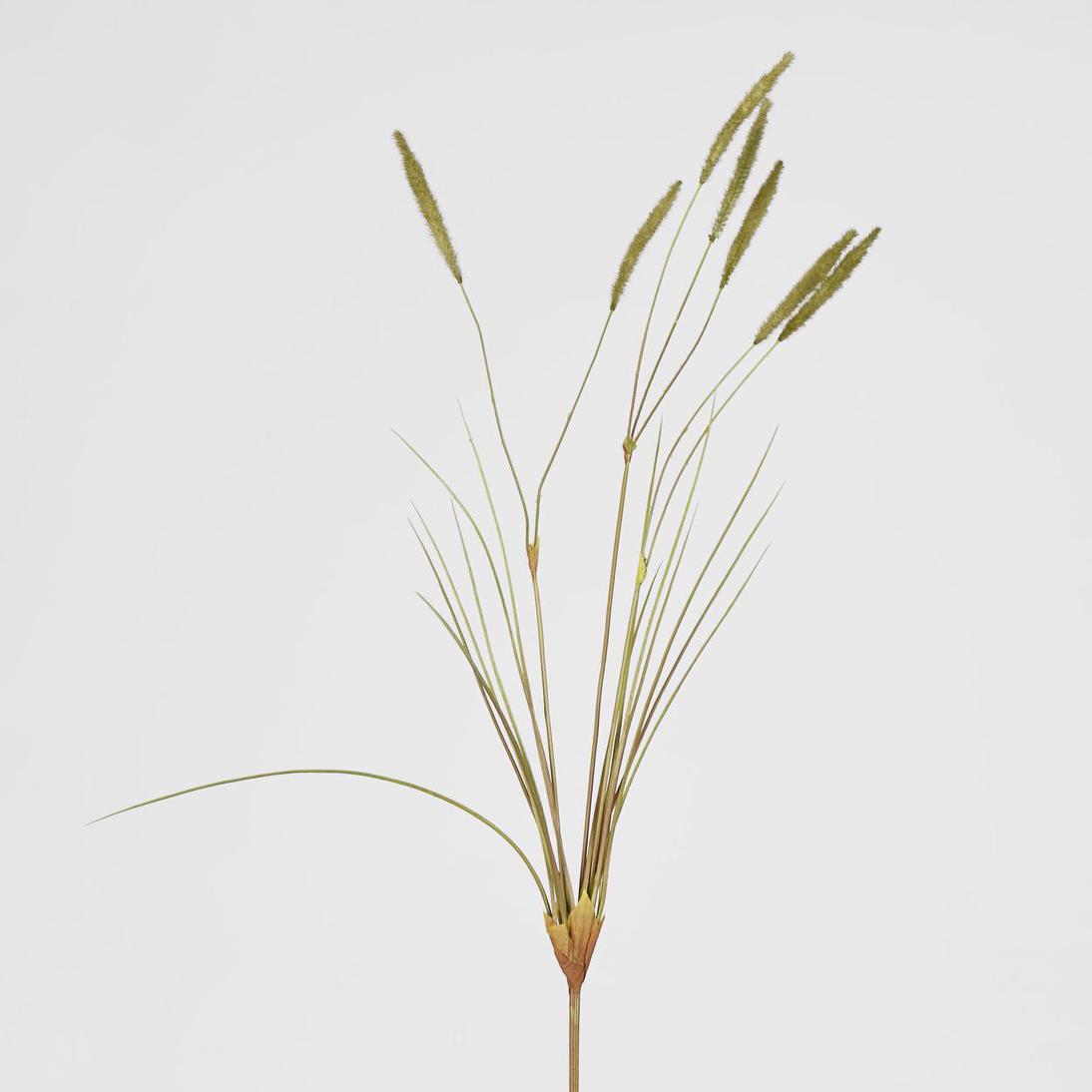 Foxtail grass Spray Green 6 pcs