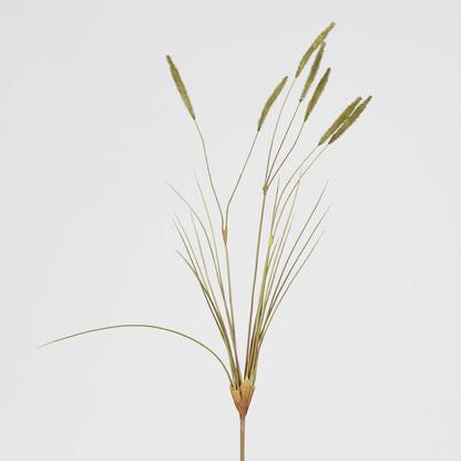 Foxtail grass Spray Green 6 pcs
