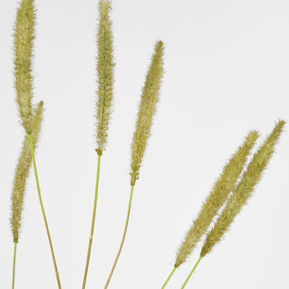 Foxtail grass Spray Green 6 pcs