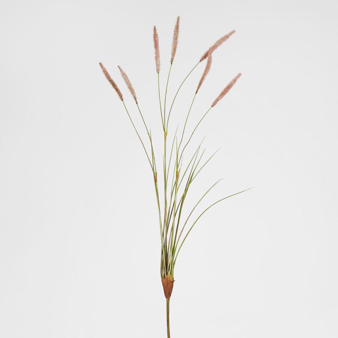 Foxtail grass Spray Pink 6 pcs