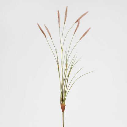Foxtail grass Spray Pink 6 pcs
