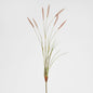 Foxtail grass Spray Pink 6 pcs