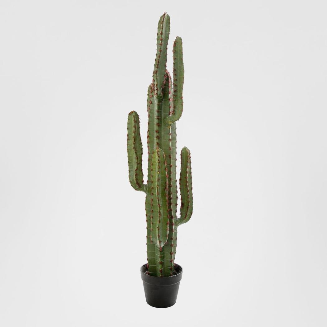 Desert Cactus XL 1.15m