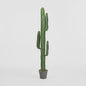 Desert Cactus 1.56m