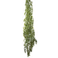 Hanging Citrus Bush 1.6m 6 pcs