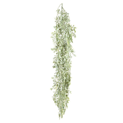 Hanging Citrus Bush 1.6m 6 pcs
