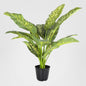 Cane Plant Real Touch in Pot Large 85cm