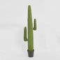 Cereus Cactus in Black Pot 147cm