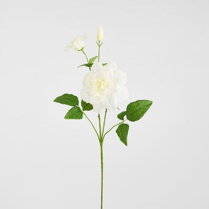 Clematis Flower White 72cm 12 pcs