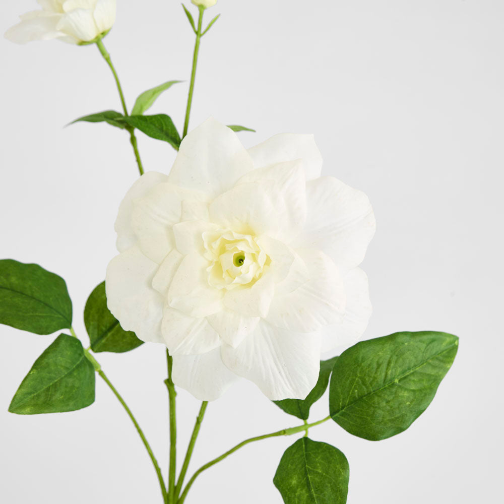 Clematis Flower White 72cm 12 pcs