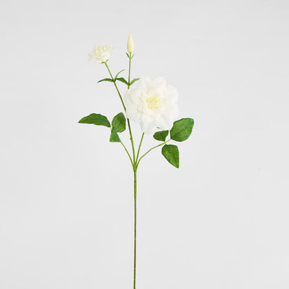 Clematis Flower White 72cm 12 pcs