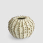 Spiked Cactus Ceramic Moss Vase Natural
