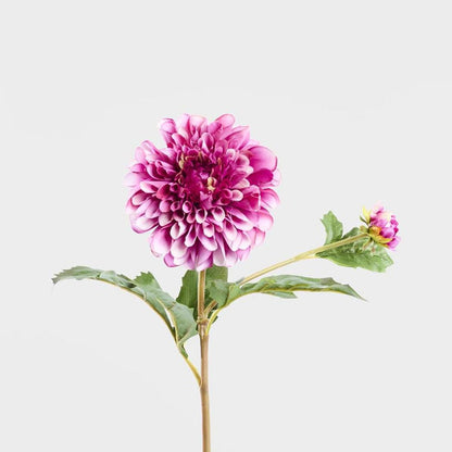 Dahlia Short Stem 50cm Purple 6 pcs