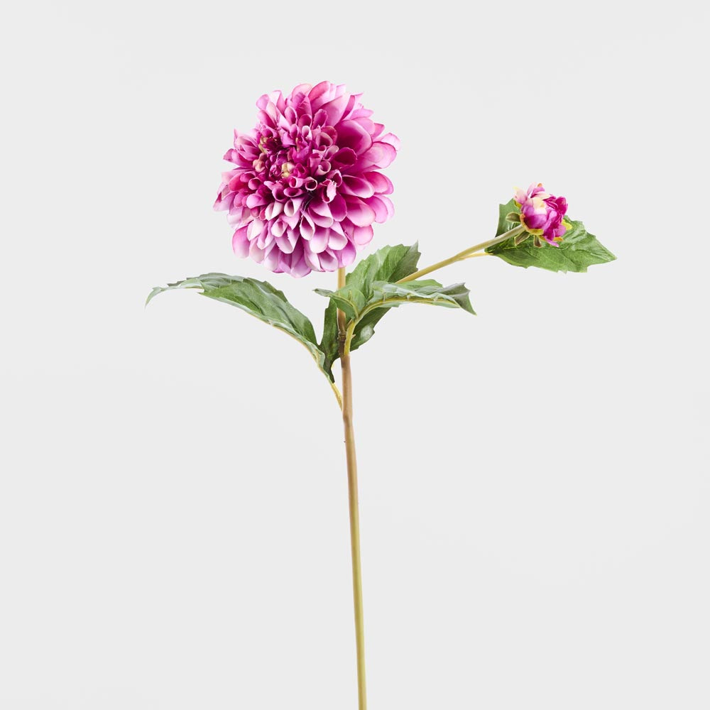 Dahlia Short Stem 50cm Purple 6 pcs