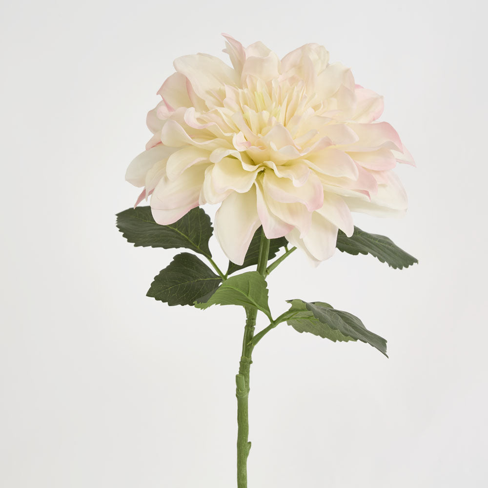 Giant Dahlia Stem 70cm Ice Pink 6 pcs