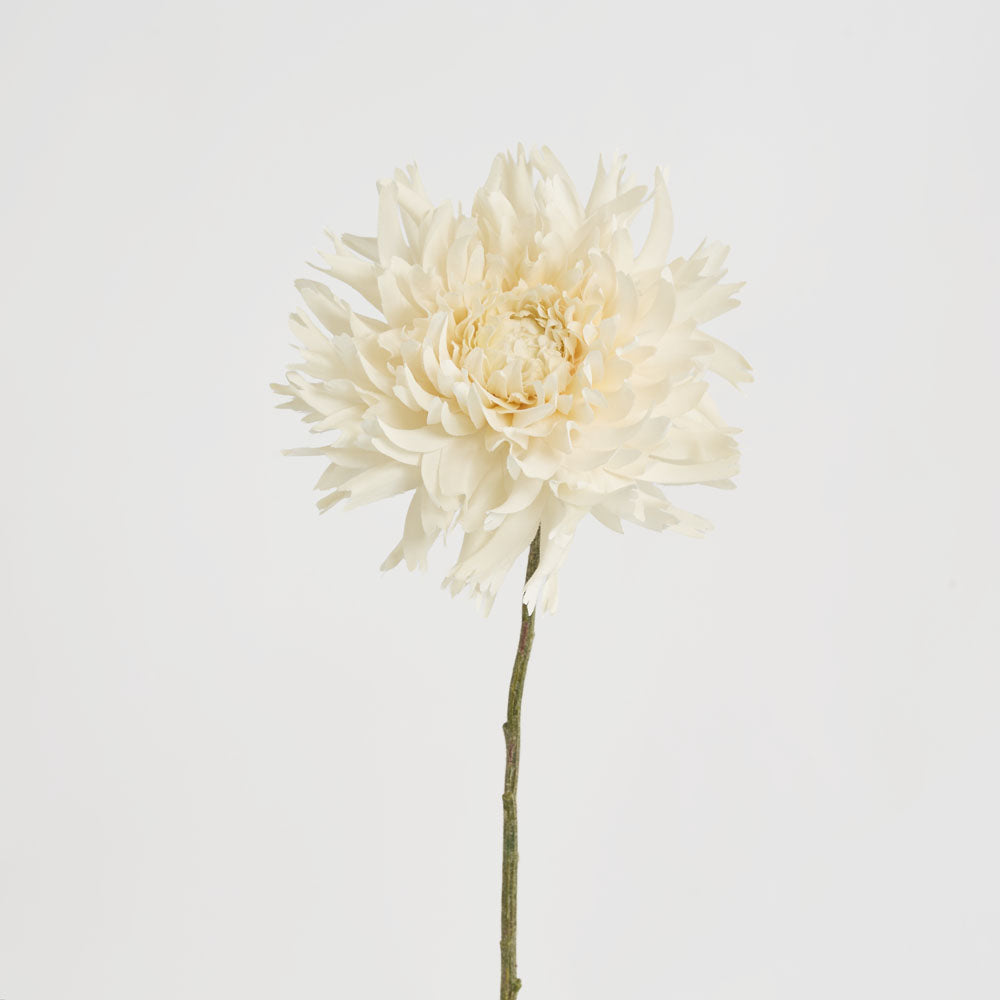 Dahlia Spray 56cm Cream