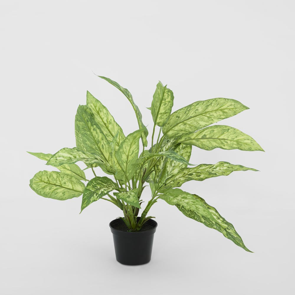 Dracaena Plant Real Touch in Pot 39cm