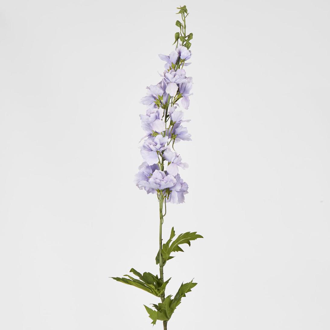 Bella Single Head Delphinium Lavender 6 pcs