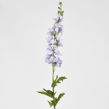 Bella Single Head Delphinium Lavender 6 pcs