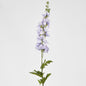 Bella Single Head Delphinium Lavender 6 pcs