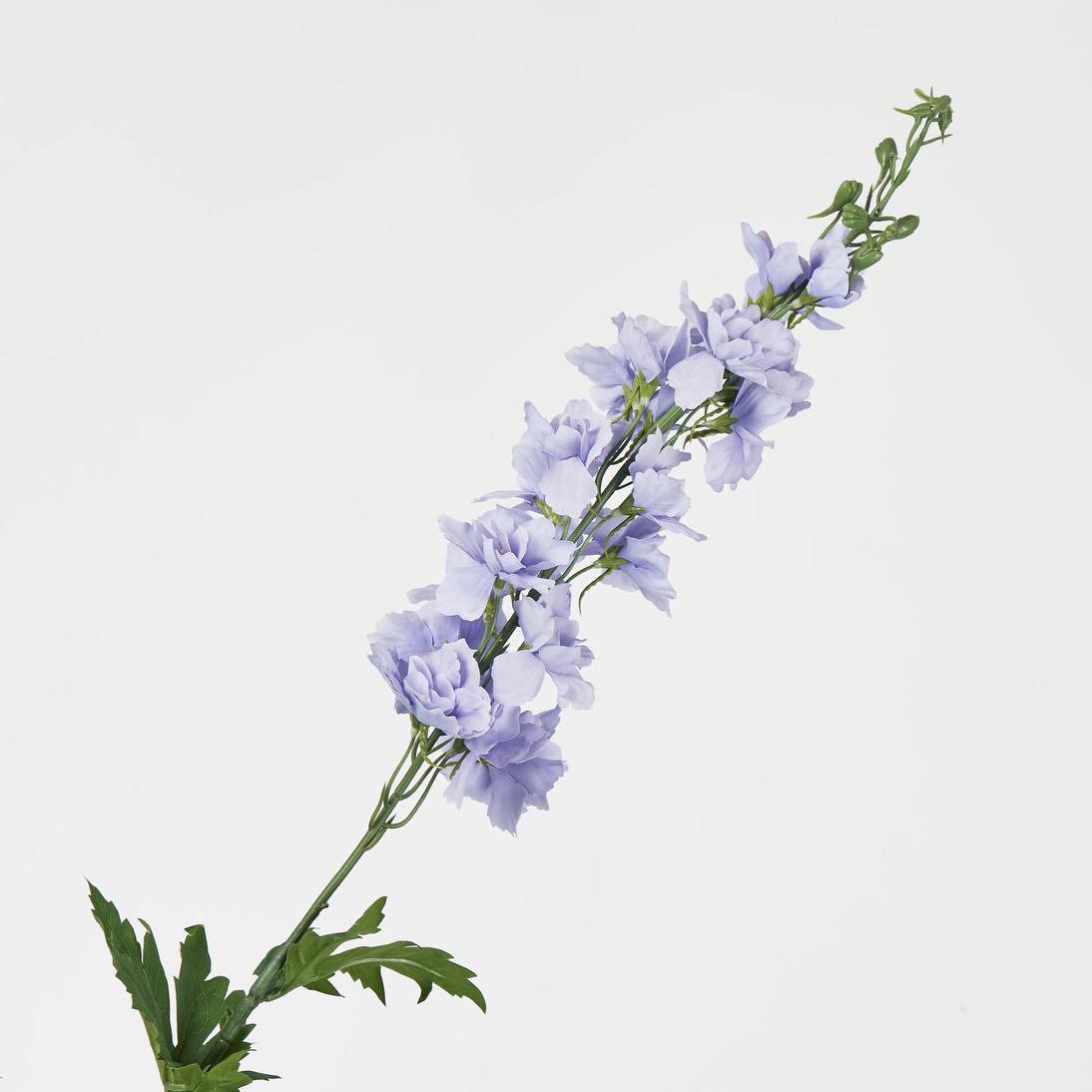 Bella Single Head Delphinium Lavender 6 pcs