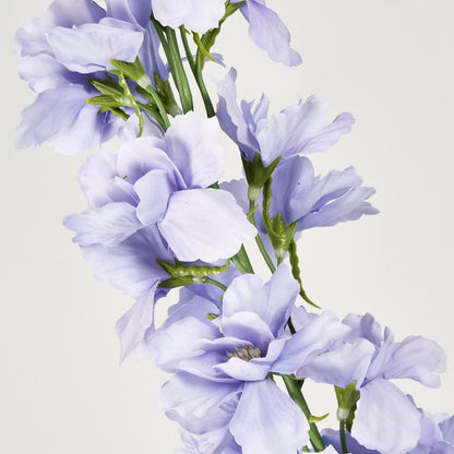 Bella Single Head Delphinium Lavender 6 pcs