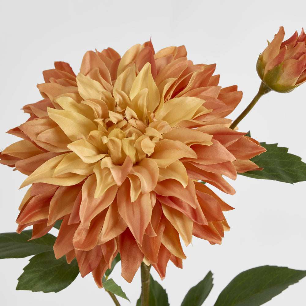 Dahlia Stem 78cm Orange 8 pcs