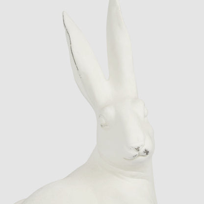 Henry Hare Sitting Large White