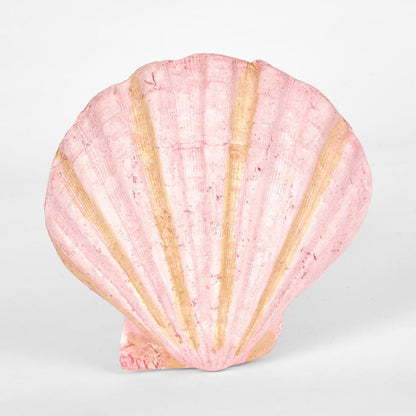Sadie Pink Shell 13.5X12.5X5CM 3 pcs