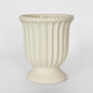 Lexi Urn White Short