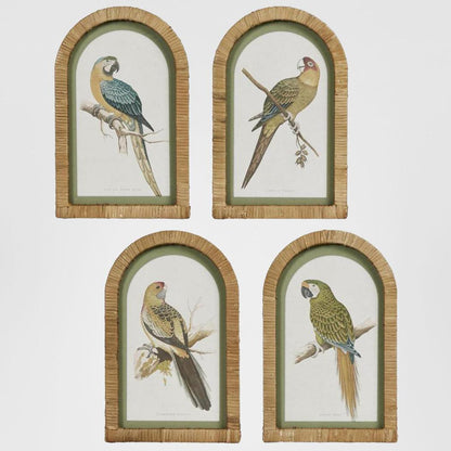 Parrots in Arches Wall Art