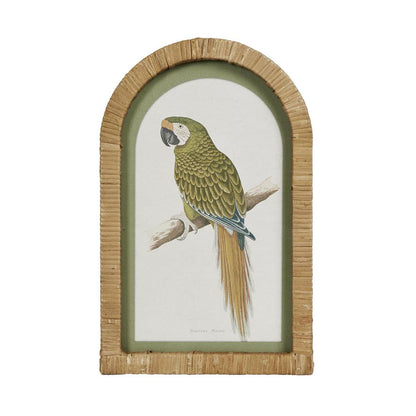 Parrots in Arches Wall Art