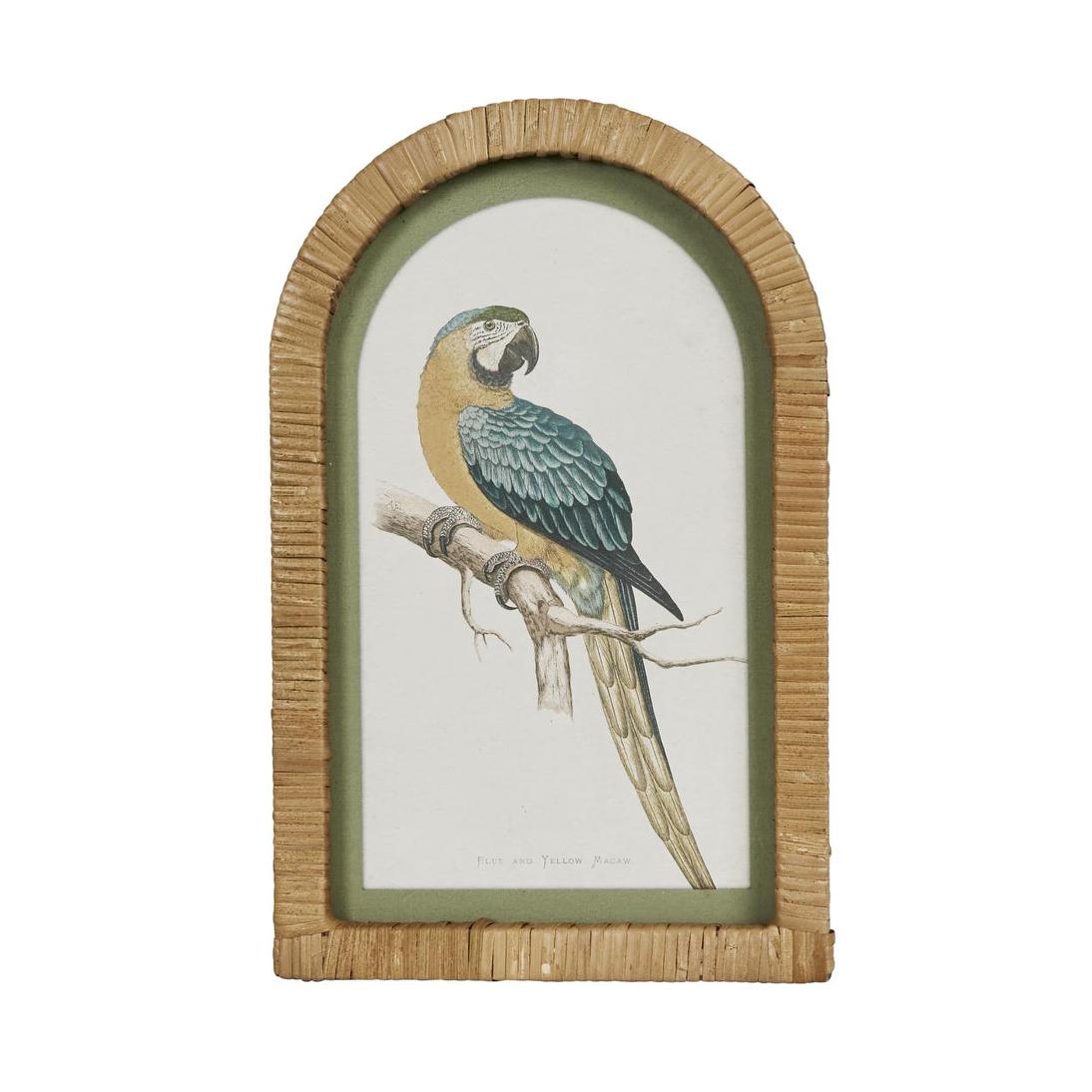 Parrots in Arches Wall Art