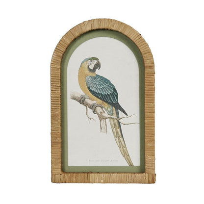 Parrots in Arches Wall Art