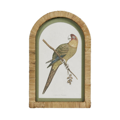 Parrots in Arches Wall Art