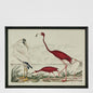 Graceful Cranes Wall Art F